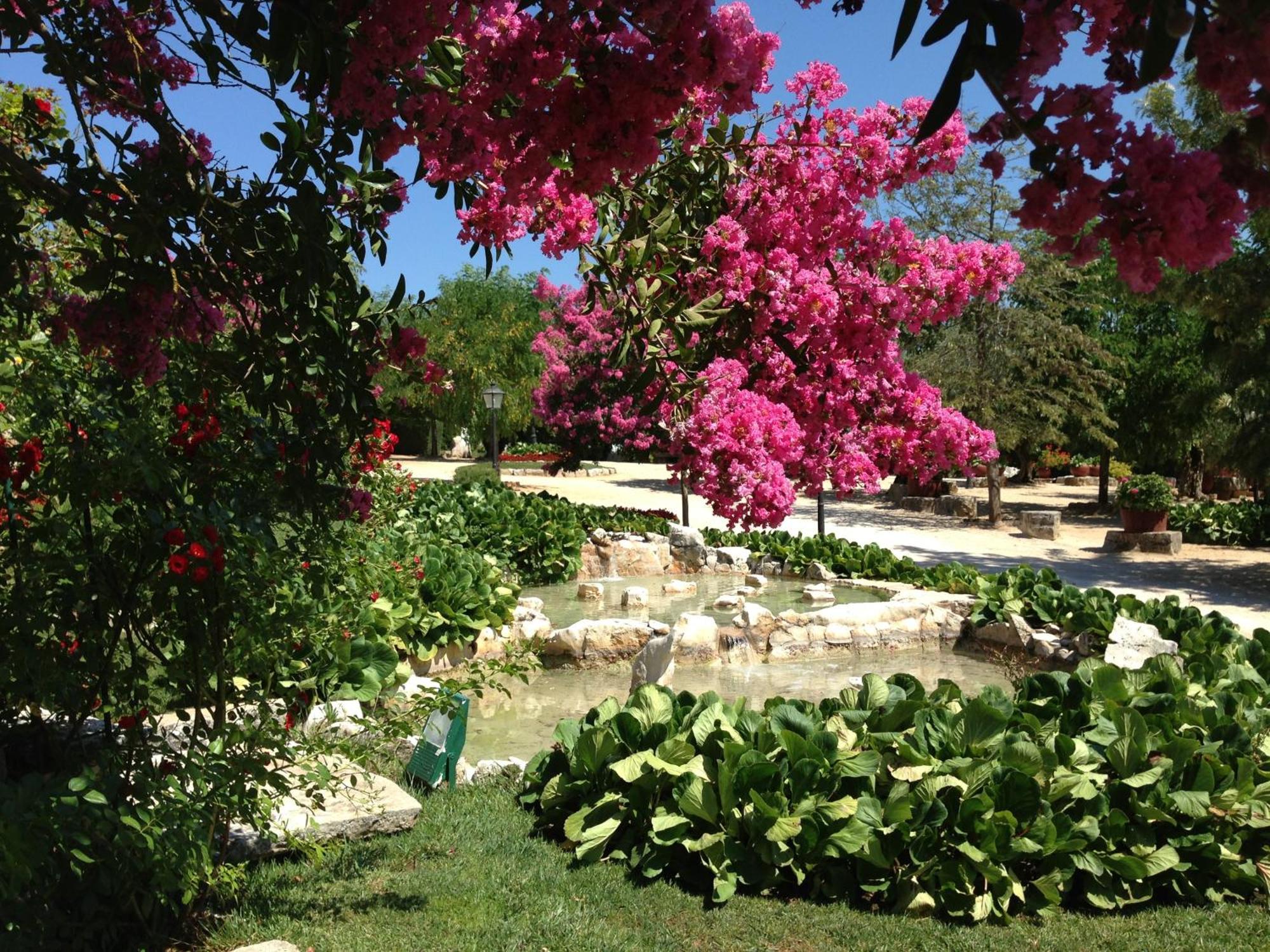 Otium Country House Alvorge Bagian luar foto