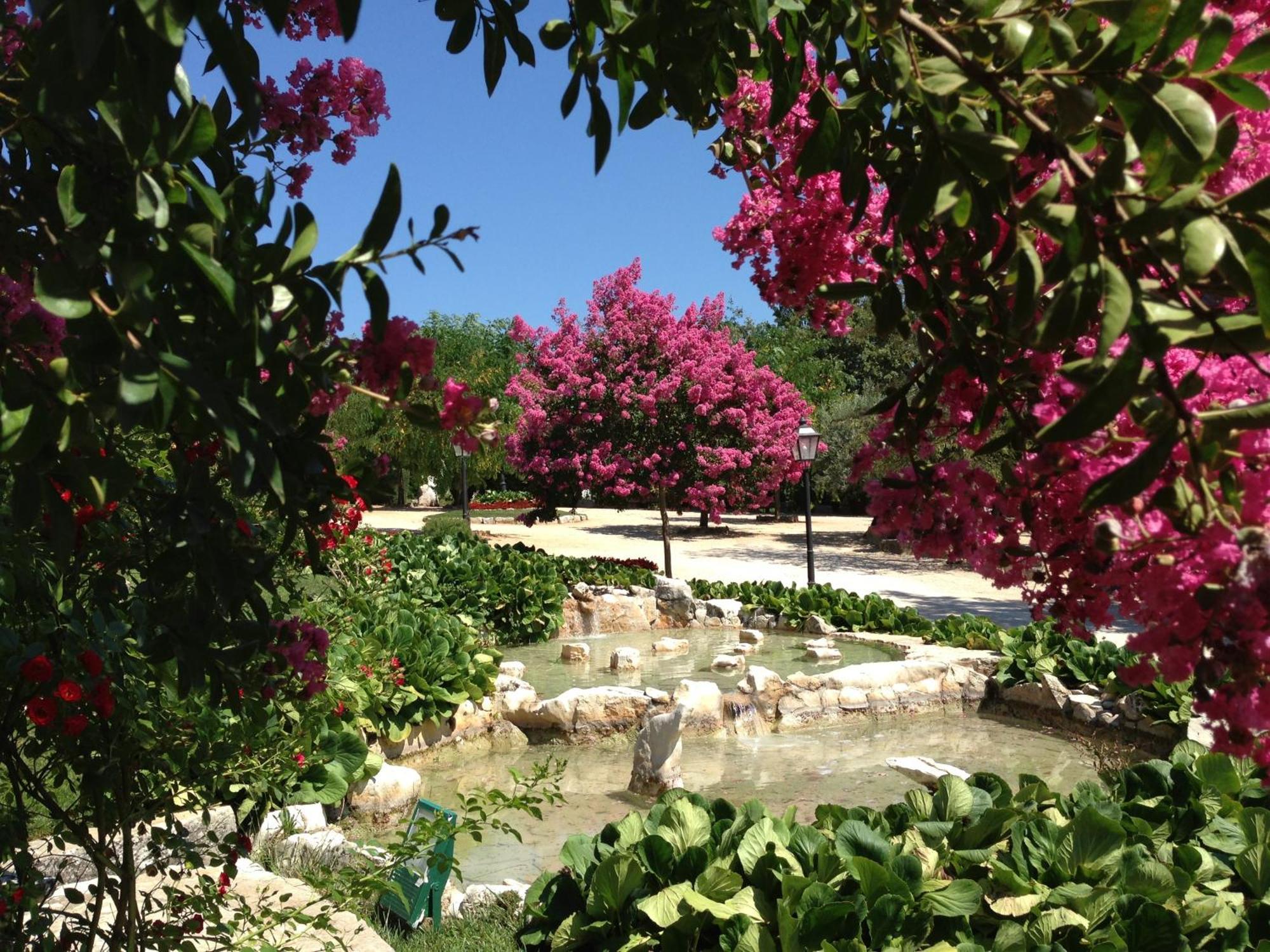 Otium Country House Alvorge Bagian luar foto