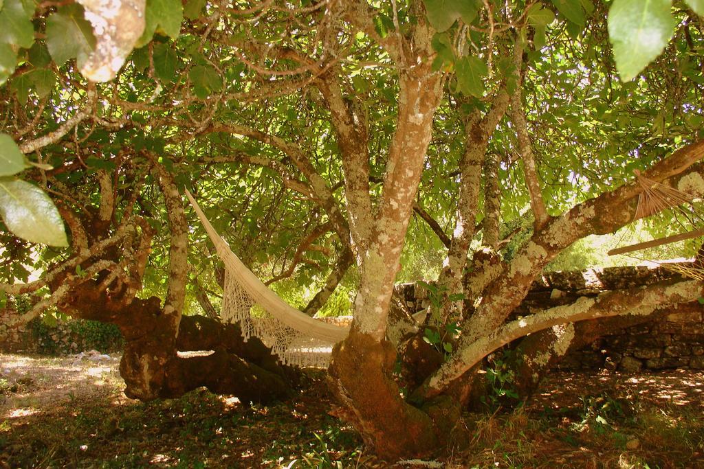 Otium Country House Alvorge Bagian luar foto