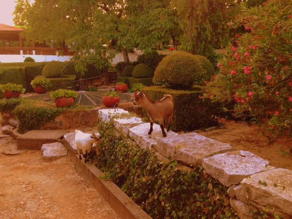 Otium Country House Alvorge Bagian luar foto