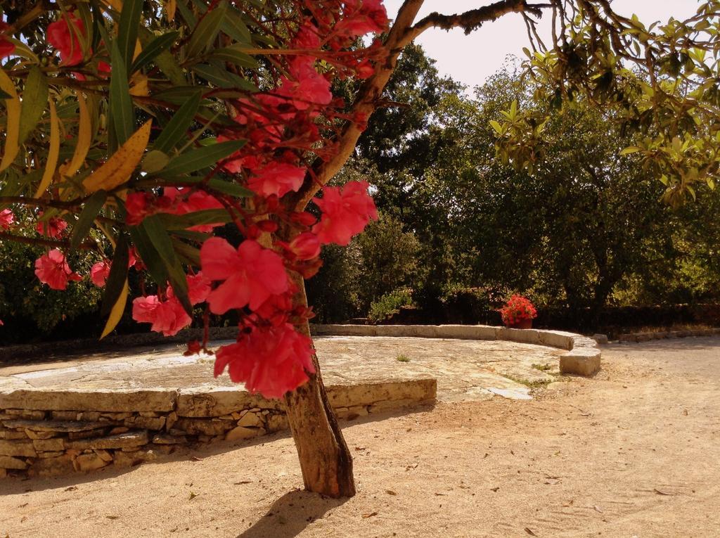 Otium Country House Alvorge Bagian luar foto